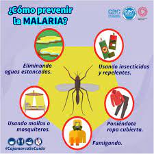 EN RIBERALTA INICIAN CAMPAÑA PARA DESINFECTAR 850 VIVIENDAS CONTRA LA MALARIA
